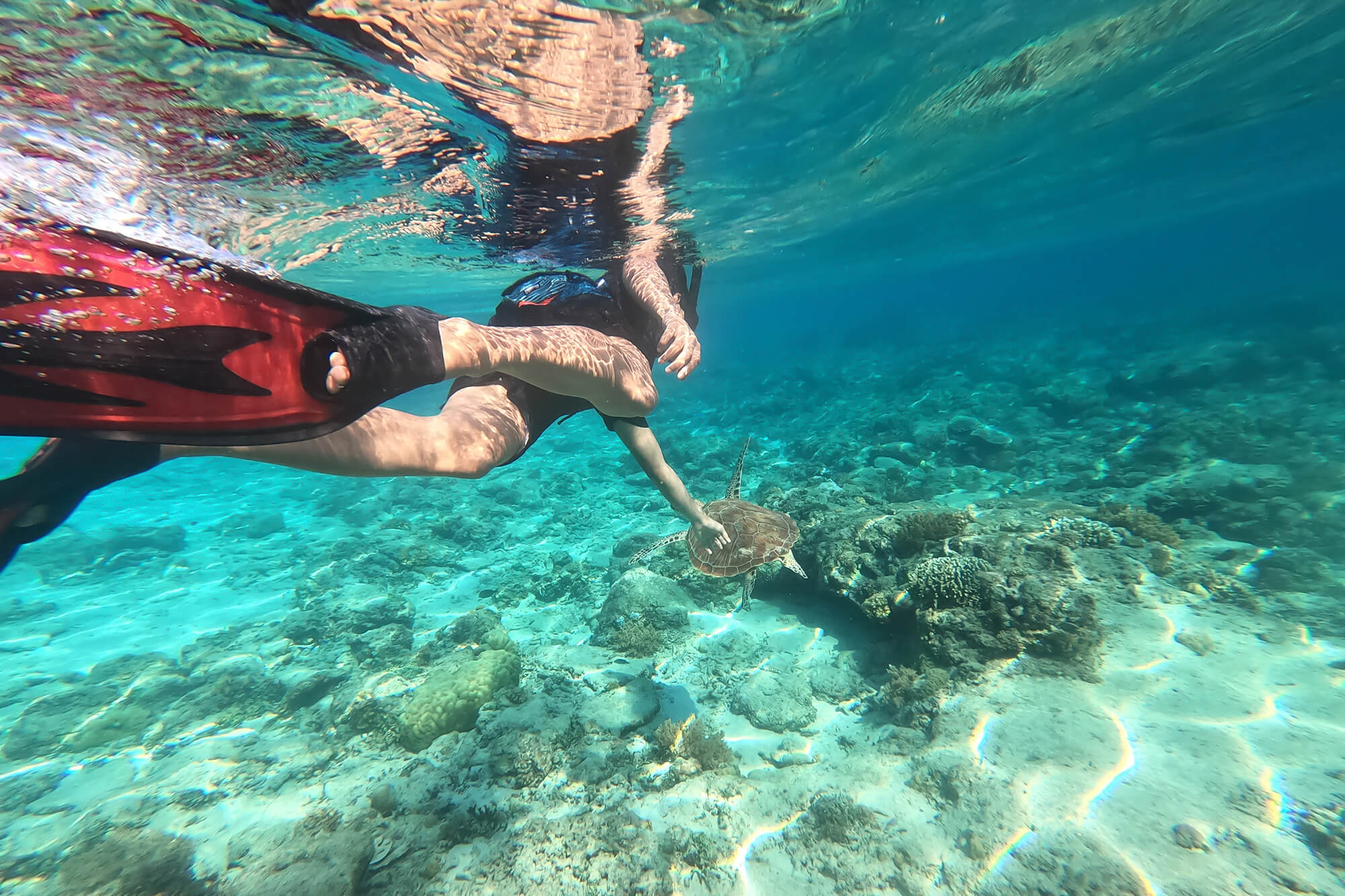 Welche Aktivitäten schaden der Natur unter Wasser?