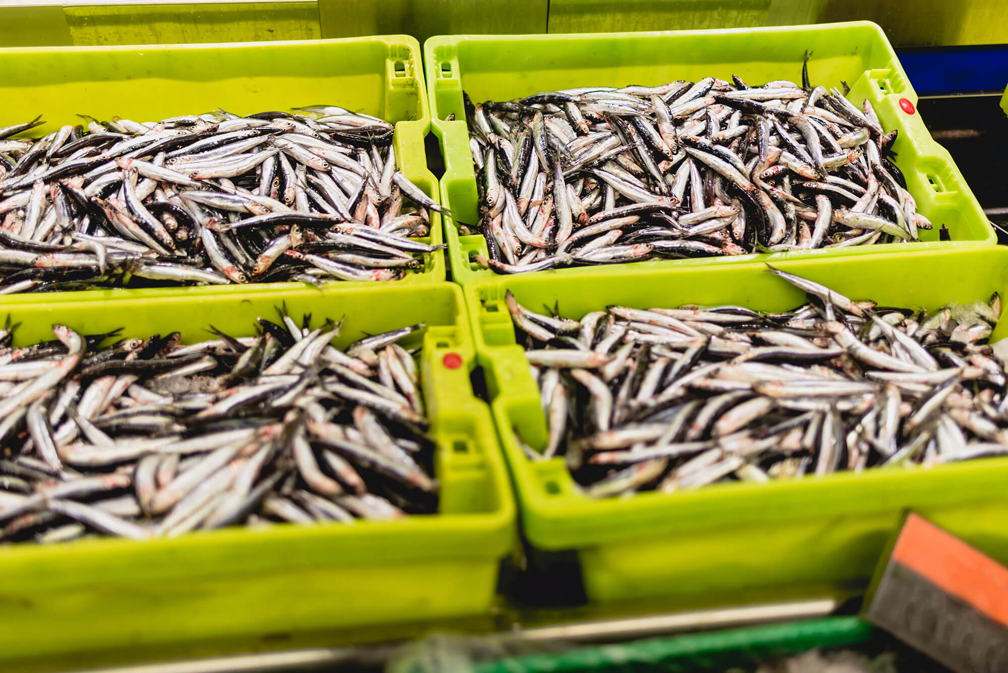 Welche Aktivitäten schaden der Natur unter Wasser?