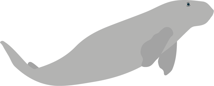 Seekuh