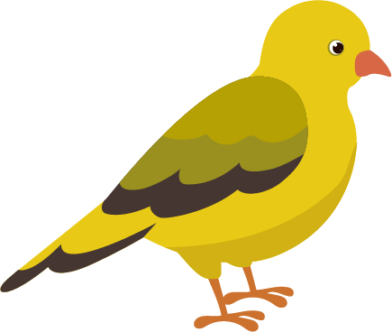 Vogel