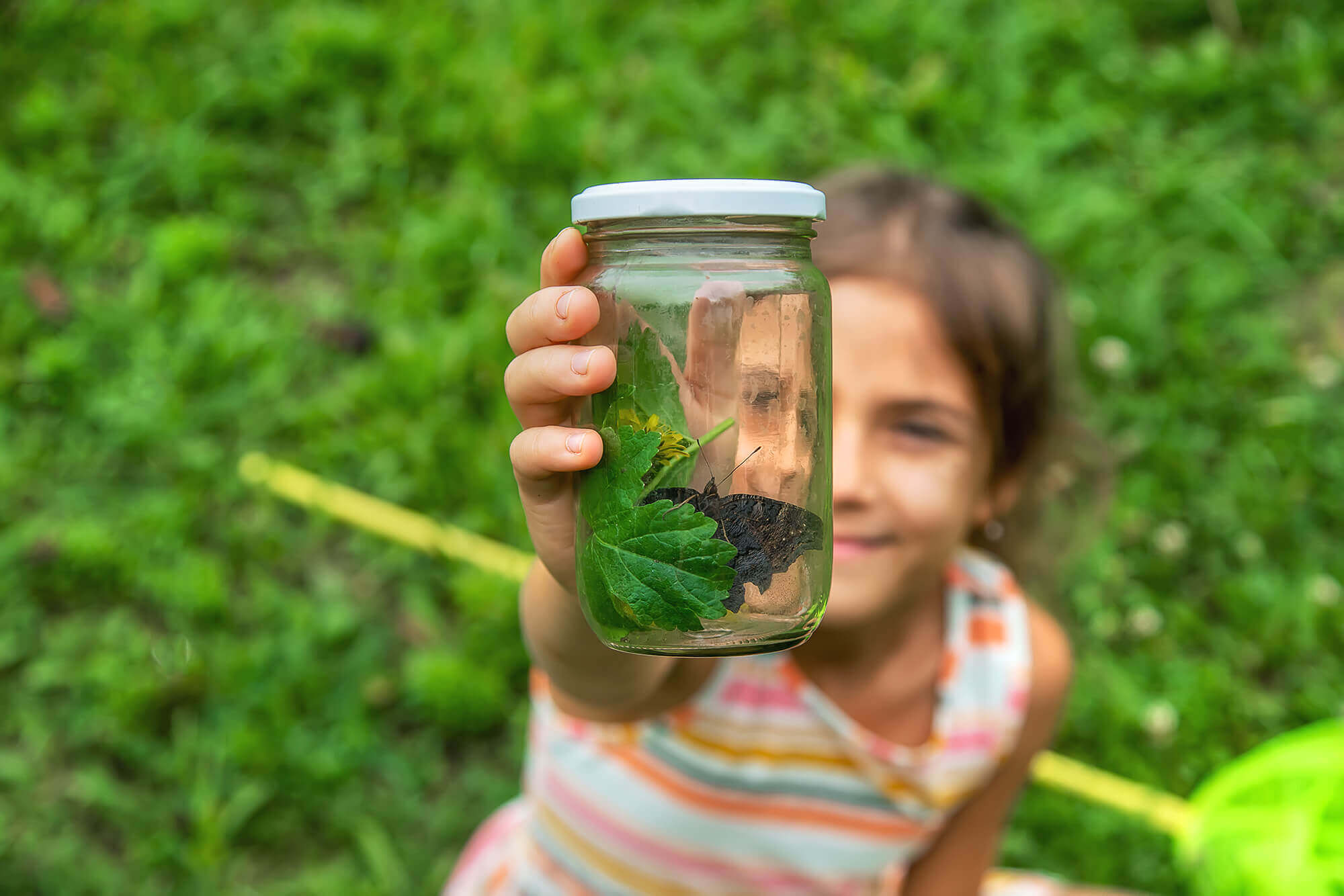 Welche Aktivitäten schaden der Natur an Land?